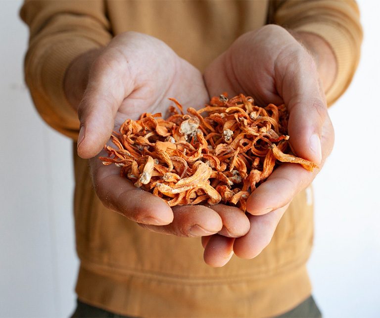 Hands holding dried mushroom slices