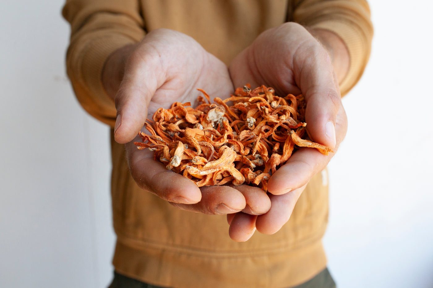 Hands holding a pile of dried mushroom slices