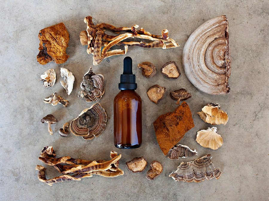 Dried mushrooms arranged around an amber dropper bottle