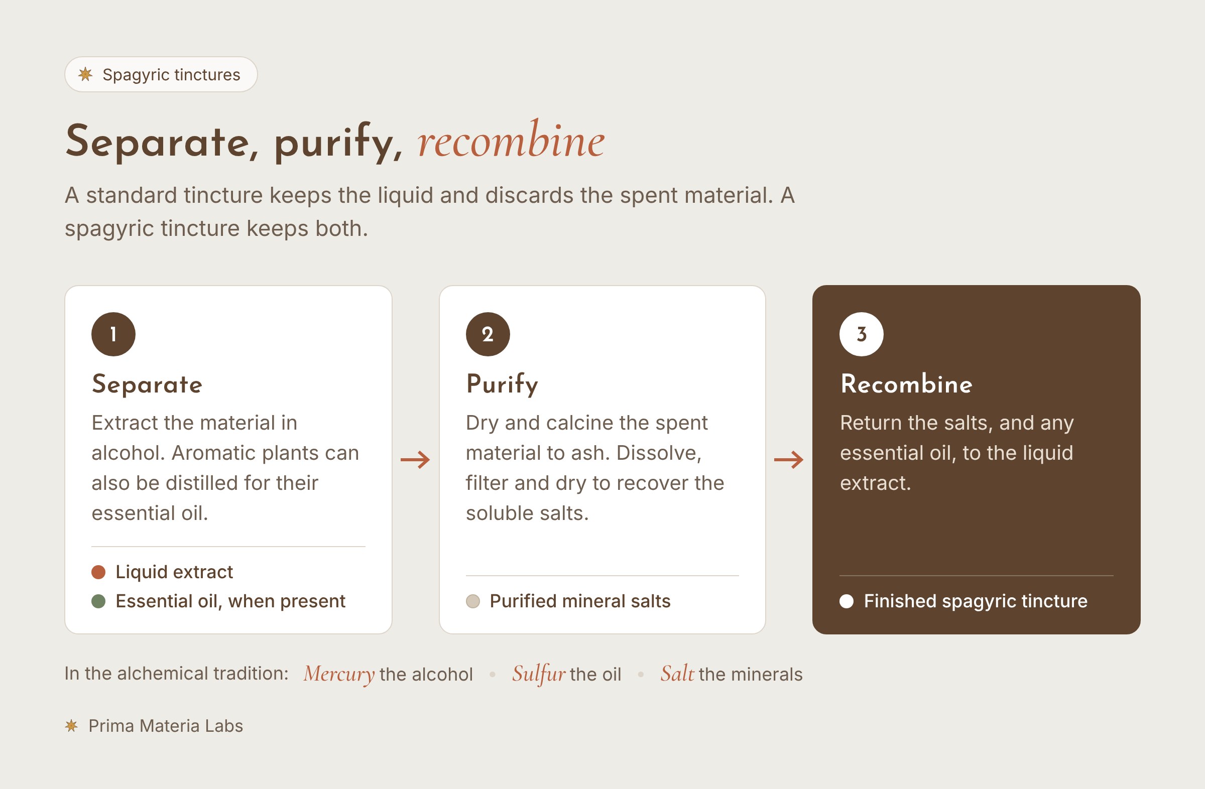 Diagram of the three spagyric stages: separate the liquid extract and any essential oil, purify the spent material into mineral salts, then recombine them into the finished tincture.