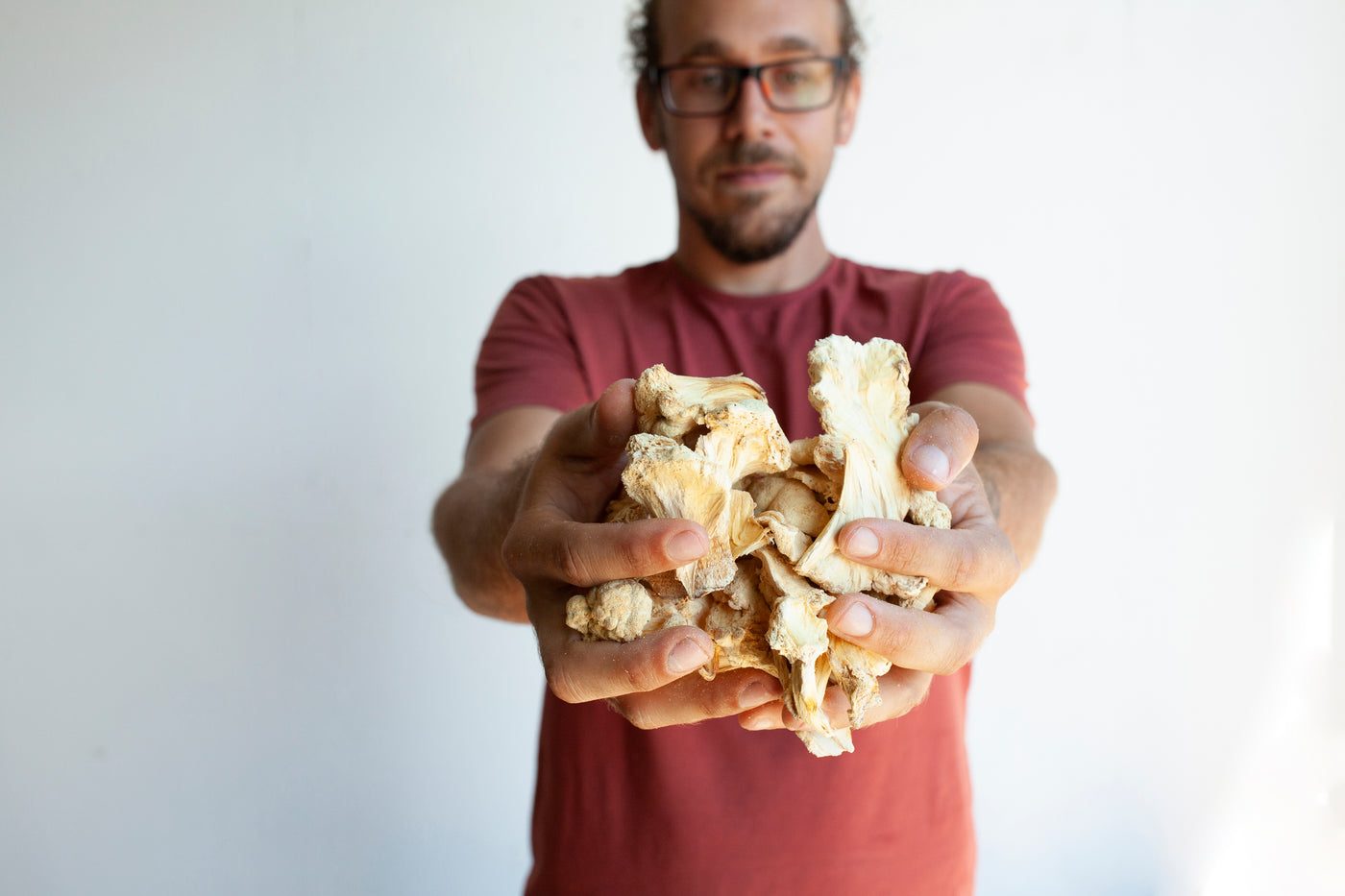 Team member holding dried mushroom pieces